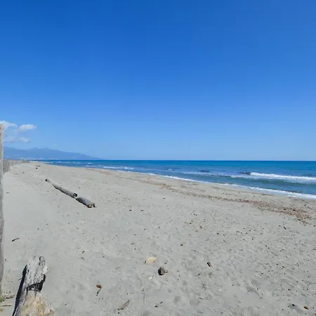 Pet Friendly In Prázdninový dům Borgo (Corsica)