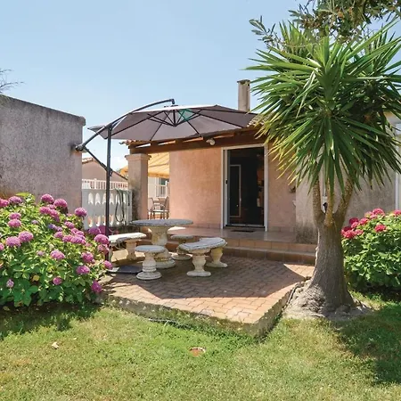 Pet Friendly In
