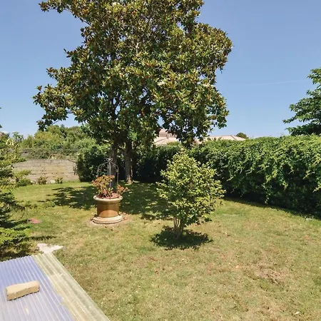Pet Friendly In Borgo (Corsica)