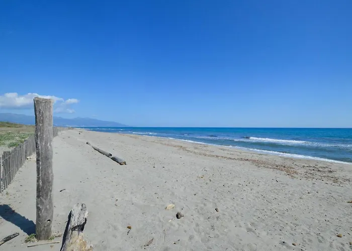 Awesome In Holiday home Borgo (Corsica)